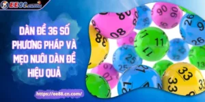 Dàn đề 36 số phương pháp và mẹo nuôi dàn đề hiệu quả